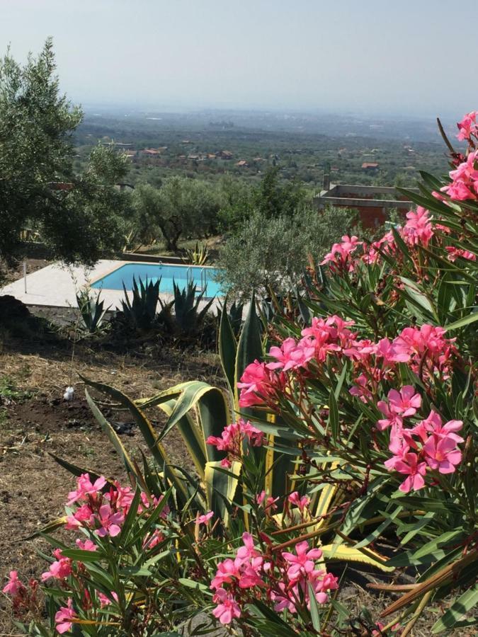 Casina Sull'Etna Daire Ragalna Dış mekan fotoğraf