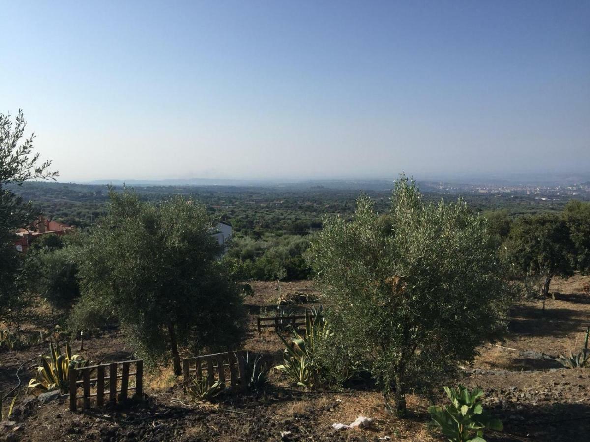 Casina Sull'Etna Daire Ragalna Dış mekan fotoğraf